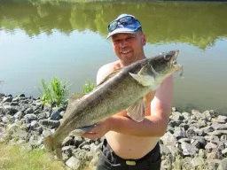 sommerzander-kanal-fangfoto Auch der Elbe-Havel Kanal hat einen guten Zanderbestand-im Sommer wenn die Elbe Niedrigwasser hat ist der Kanal manchmal die bessere Wahl zum Zander angeln
