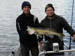 zander-2-angler-fangfoto-boot Bei einem Angelguiding mit 2 Anglern auf der Elbe vom Boot war der erste Zander schon nach wenigen Minuten gefangen