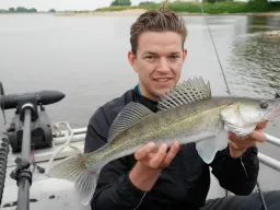 zander-elbe-fangfoto Ein toller Drill und ein zufriedener Angler. Die Elbe liefert immer wieder ab, wie bei diesem Zander Guiding auf der Elbe