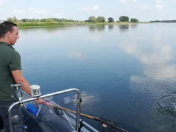 zanderdrill-elbe-2-angler Teamwork bei 2 Anglern beim Zander angeln an der Elbe-einer drillt den Fisch und der andere steht mit dem Kescher bereit