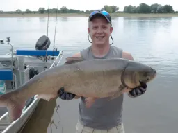 marmorkarpfen-elbe-fangfoto