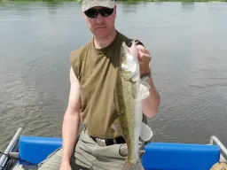 sommerzander-elbe-fangfoto