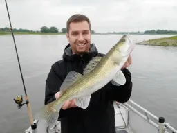 zander-elbe-fangfoto-herbst