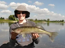 elbe-zander-sonne-fangfoto