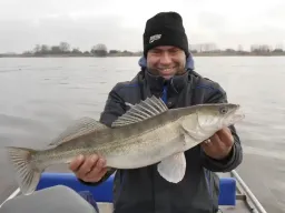 mittelelbe-zander-fangfoto