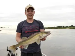 stachelritter-elbe-fangfoto