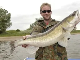 zandergigant-elbe-fangfoto