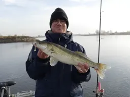 elbzander-angeln-fangfoto