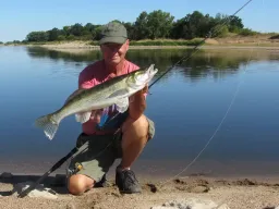 zander-elbe-sommer-angeln-