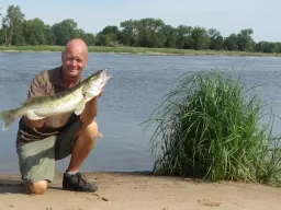 elbe-zander-angeln-fangfoto