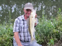 zander-kanal-fangfoto-sommer