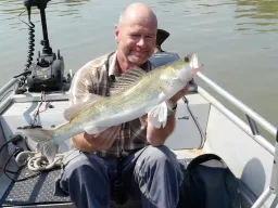 zander-sommer-elbe-angeln-fangfoto