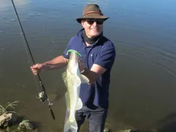 angeln-elbe-zander-sommer-fangfoto