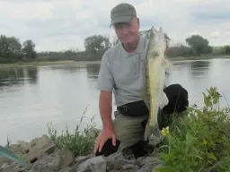 elbe-zander-angeln-fangfoto