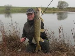 elbhecht-fangfoto-herbst