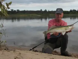 elbzander-angeln-fangfoto