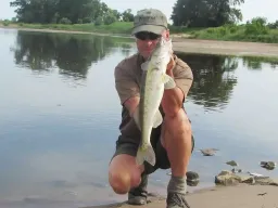 elbzander-sommer-fangfoto