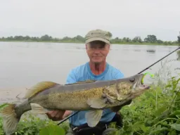 grosszanderalarm-elbe-fangfoto-angeln