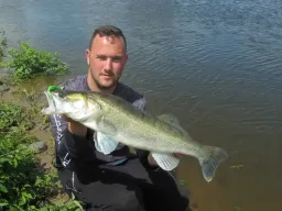 hitzezander-elbe-fangfoto-angeln