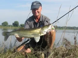 stachelritter-fangfoto-elbe