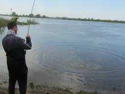 zanderdrill-elbe-angeln