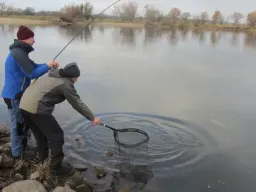 angeln-2-angler-zander-keschern