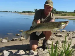 elbdrachen-fangbild-angeln