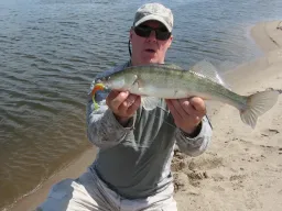 zander-elbe-fangfoto