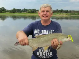 angler-rapfen-elbe-fangfoto