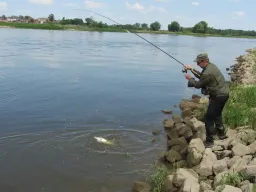 angler-zanderdrill-elbe