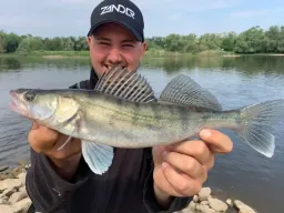 glucklicher-angler-fangfoto-zander-elbe