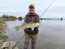 elbe-zander-fangfoto-angeln