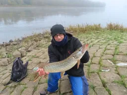 winterhecht-elbe-fangfoto-angeln