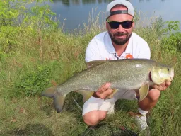elbe-rapfen-angeln-sommer-fangfoto