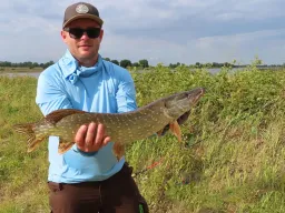 esox-elbe-fangfoto