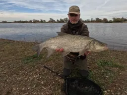 herbstrapfen-elbe-fangfoto-angeln