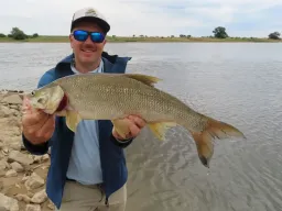 rapfen-elbe-fangfoto